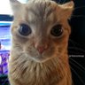 Max profil fotoğrafı