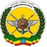Tsige Tessema profil fotoğrafı