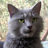 0.005 ETH's profile picture