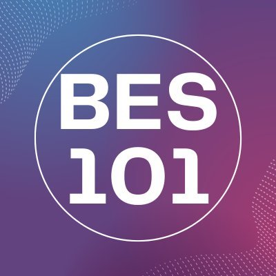 Bes 101 🚀's profile picture