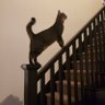 Teryy Capraro profil fotoğrafı