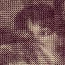 Mina Polidori 的头像