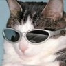 Фото профиля Gato Liberalista