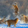 Фото профиля wow