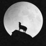 🇹🇷35_KRM_06🇹🇷's profile picture