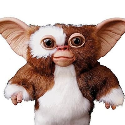 モグワイ（犬戸くん）'s profile picture