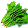 Фото профиля lung zhlong