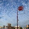 頁(おおがい) 的头像