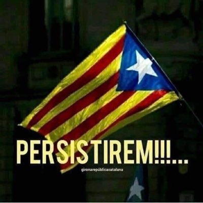 cendros_cat2048's profile picture