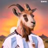 Goated Culé's profile picture