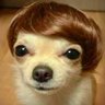 Profilbild von dan