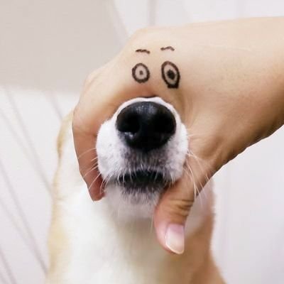 まぷ's profile picture