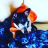 Bruno’sMom Forever's profile picture
