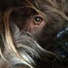 SPOT's profile picture
