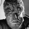 Profilbild von Capanegra
