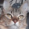Mar P's profile picture