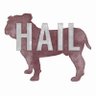 AllaboutthatSTATE profil fotoğrafı