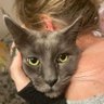 anne's profile picture