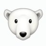 BearSlayer profil fotoğrafı