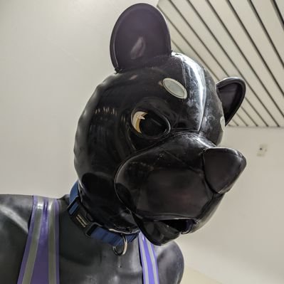 carbonkat's profile picture