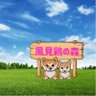 風見鶏の森茶色いコッペパン軍団's profile picture