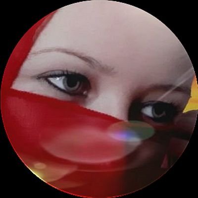 Melek___lll's profile picture
