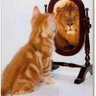 @algoritma67 profil fotoğrafı