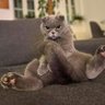 Martina profil fotoğrafı