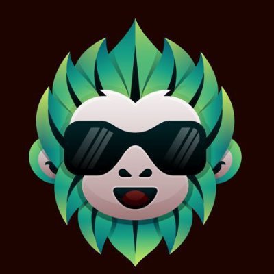 AI Zoo - AI generated NFT games on Solana & BSC's profile picture
