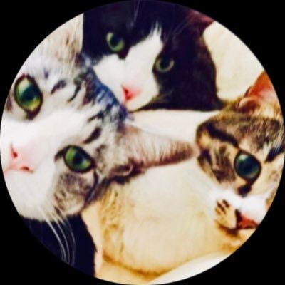 maaco3's profile picture