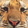 Éditez votre profil 的头像