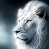 Oscar Lion's profile picture
