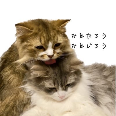 minuminutaro's profile picture
