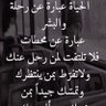 Ahmad Mostafy 的头像