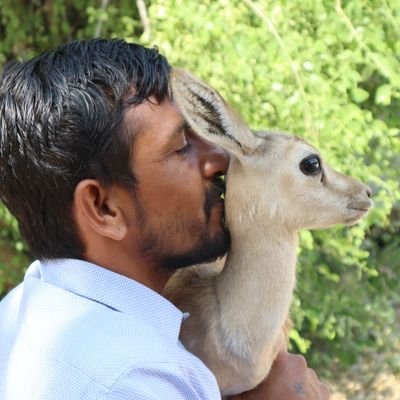 Greenman_narpat's profile picture