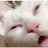 ddwr's profile picture
