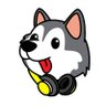 Profilbild von Rascal The RT Pup 🐶