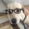 TT's profile picture