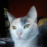Laura Z.'s profile picture
