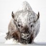 Фото профиля Richard Bowen