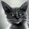 Profilbild von Jonathan Barron