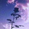 Фото профиля Rahaf