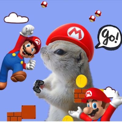 MC5H3Jn7xPohZ7K's profile picture