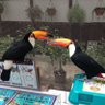 Profilbild von 本屋