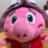 ちー's profile picture