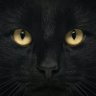 μονάχους profil fotoğrafı