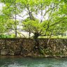 南海鑫磊 profil fotoğrafı
