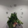 Profilbild von NutriaTips
