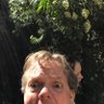 swink's profile picture