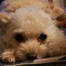 めい's profile picture
